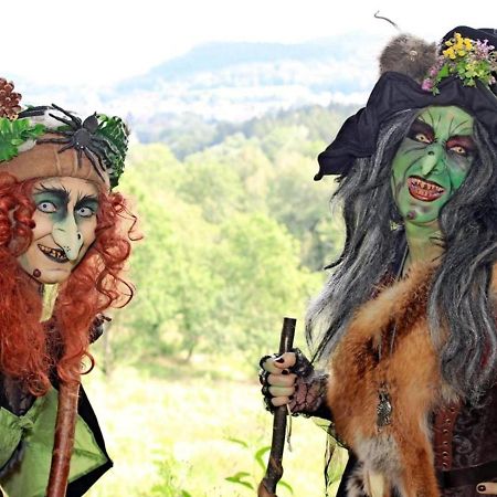 "Familientreff" In Schoener Moderner Ferienwohnung Fuer 12 Personen Im Oberharz! Sankt Andreasberg Exteriör bild